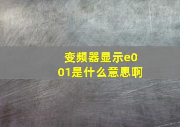 变频器显示e001是什么意思啊