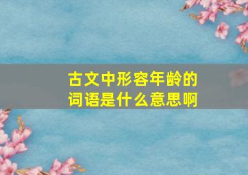 古文中形容年龄的词语是什么意思啊