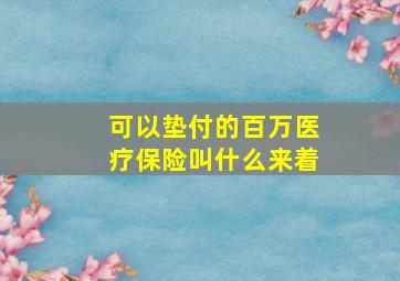 可以垫付的百万医疗保险叫什么来着