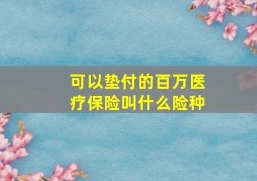 可以垫付的百万医疗保险叫什么险种