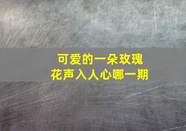 可爱的一朵玫瑰花声入人心哪一期