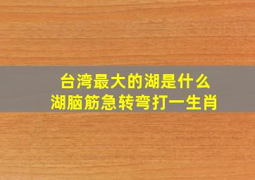 台湾最大的湖是什么湖脑筋急转弯打一生肖