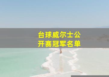 台球威尔士公开赛冠军名单