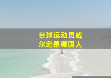 台球运动员威尔逊是哪国人