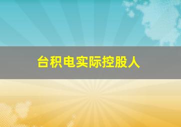 台积电实际控股人