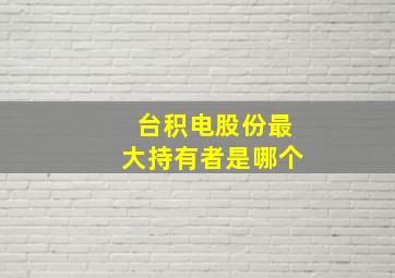 台积电股份最大持有者是哪个