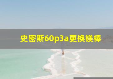 史密斯60p3a更换镁棒