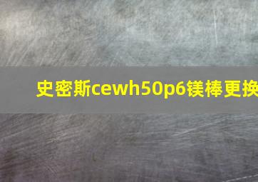 史密斯cewh50p6镁棒更换