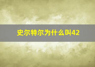 史尔特尔为什么叫42