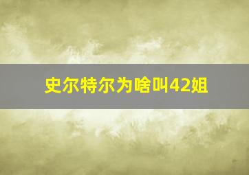 史尔特尔为啥叫42姐