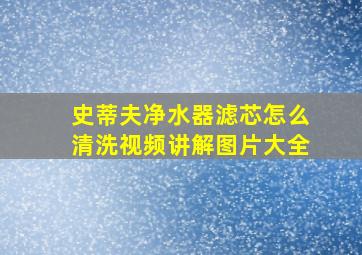 史蒂夫净水器滤芯怎么清洗视频讲解图片大全