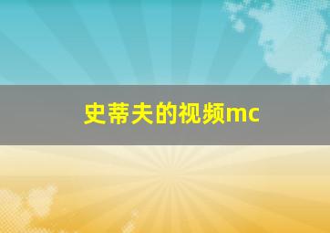 史蒂夫的视频mc