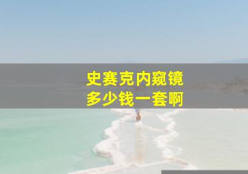 史赛克内窥镜多少钱一套啊