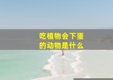 吃植物会下蛋的动物是什么