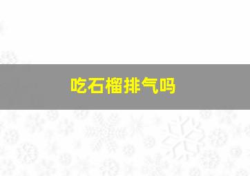 吃石榴排气吗