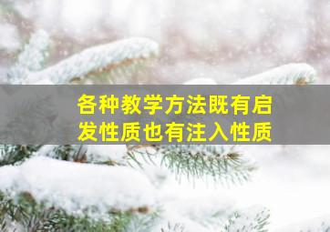 各种教学方法既有启发性质也有注入性质