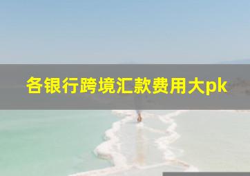 各银行跨境汇款费用大pk