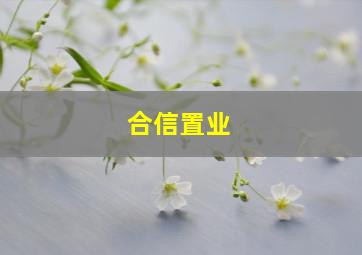 合信置业