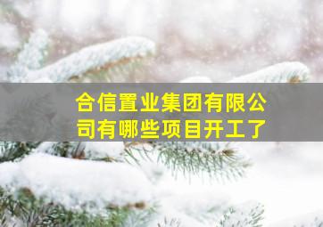 合信置业集团有限公司有哪些项目开工了