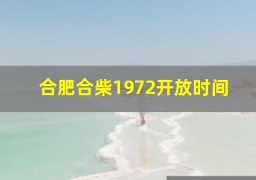 合肥合柴1972开放时间