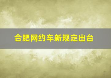 合肥网约车新规定出台