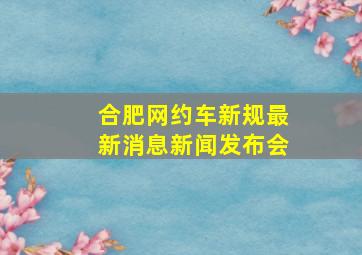 合肥网约车新规最新消息新闻发布会