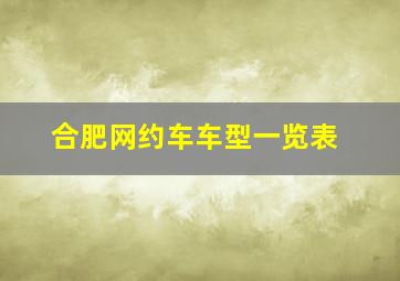 合肥网约车车型一览表