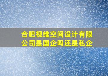 合肥视维空间设计有限公司是国企吗还是私企