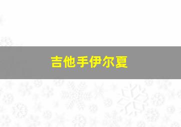 吉他手伊尔夏