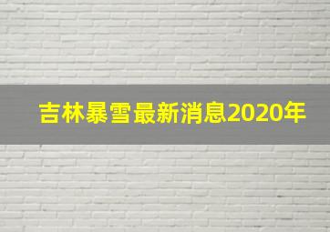 吉林暴雪最新消息2020年