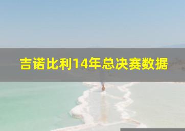 吉诺比利14年总决赛数据