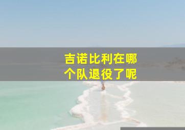 吉诺比利在哪个队退役了呢