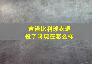 吉诺比利球衣退役了吗现在怎么样