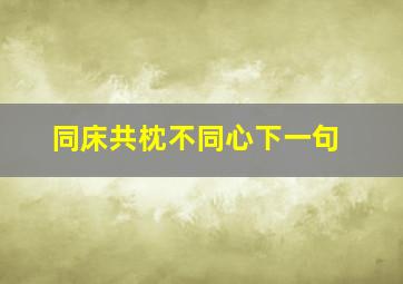 同床共枕不同心下一句