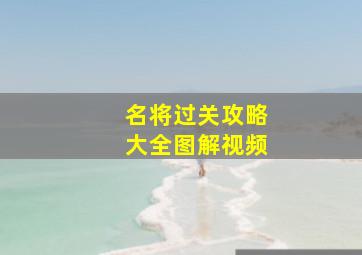 名将过关攻略大全图解视频