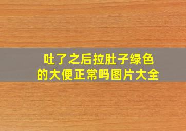 吐了之后拉肚子绿色的大便正常吗图片大全