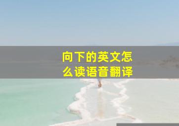 向下的英文怎么读语音翻译