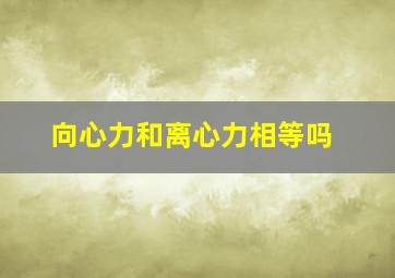 向心力和离心力相等吗