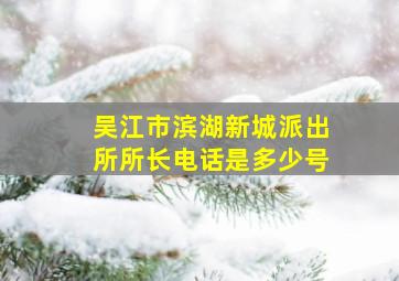 吴江市滨湖新城派出所所长电话是多少号