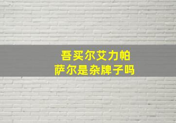 吾买尔艾力帕萨尔是杂牌子吗