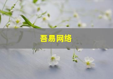 吾易网络