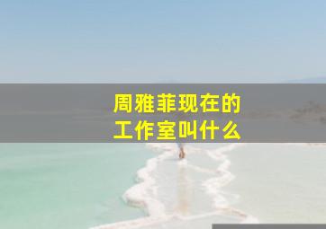 周雅菲现在的工作室叫什么