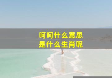 呵呵什么意思是什么生肖呢