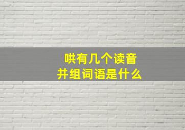 哄有几个读音并组词语是什么