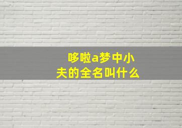 哆啦a梦中小夫的全名叫什么