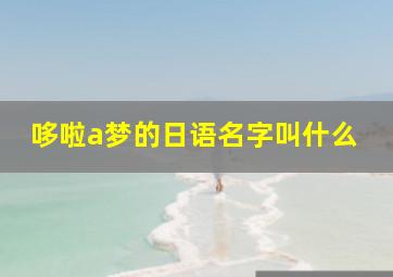 哆啦a梦的日语名字叫什么