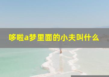 哆啦a梦里面的小夫叫什么