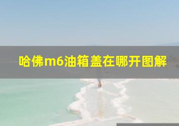 哈佛m6油箱盖在哪开图解