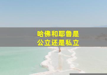 哈佛和耶鲁是公立还是私立