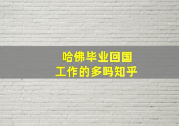 哈佛毕业回国工作的多吗知乎